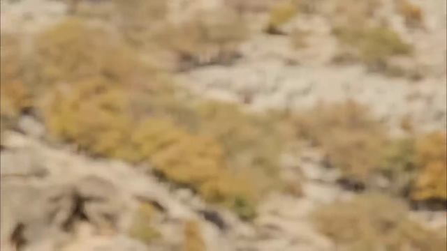 Пытаясь найти Азаде и Сами, Тайяба выражает сожаление.