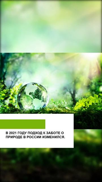 #героисво #выборы #путин #дети #семья #трамп #арктика #наука #пенсионеры #сво2025 #молодёж #армия