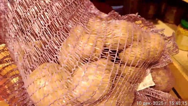 Выгодная цена на картофель