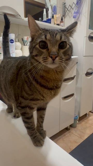 Нужно мыться