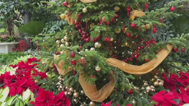 САДЫ США САДЫ ЛОНГВУДА РОЖДЕСТВЕНСКИЙ ЗИМНИЙ САД "Шкатулка с драгоценностями",