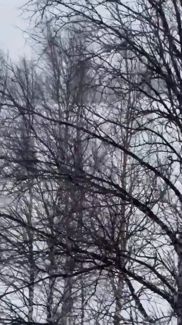 снег и сноубайк и не чего лишнего