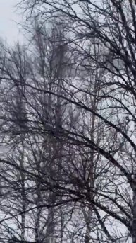 снег и сноубайк и не чего лишнего