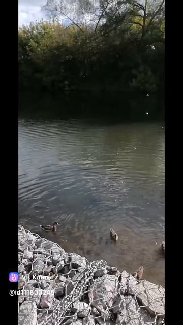 #ПРОГУЛКА ❤️