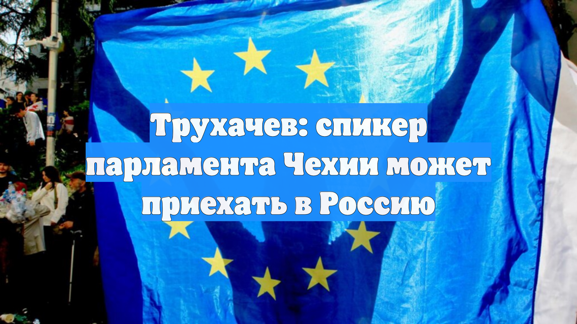 Трухачев: спикер парламента Чехии может приехать в Россию