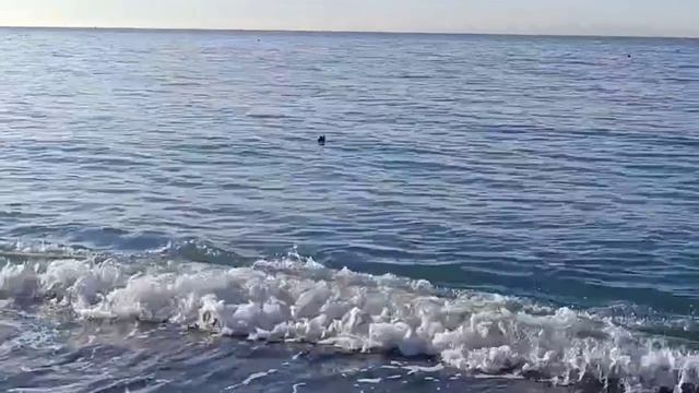 Пляж Сукко 10 декабря 2025 года. Репортаж Светланы Тихоновны