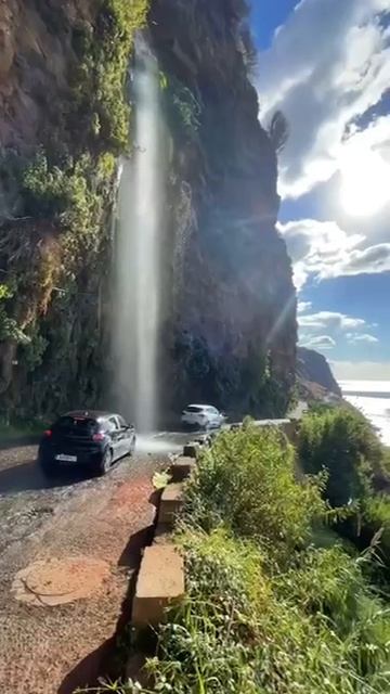 VID_20251210_142210_595.mp4