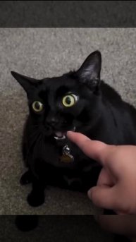 Ленивый кусатель