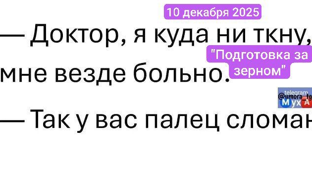 Скоро новый год, а зерно уже закончилось 😁😁😁не успев начаться, такой закон ⚖️, всё в меру и вовре