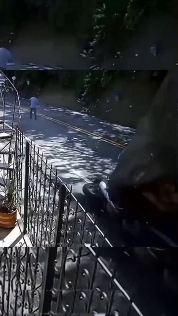 Успели убежать!