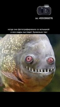 Мини-камера X.O STORE (артикул 459386876)