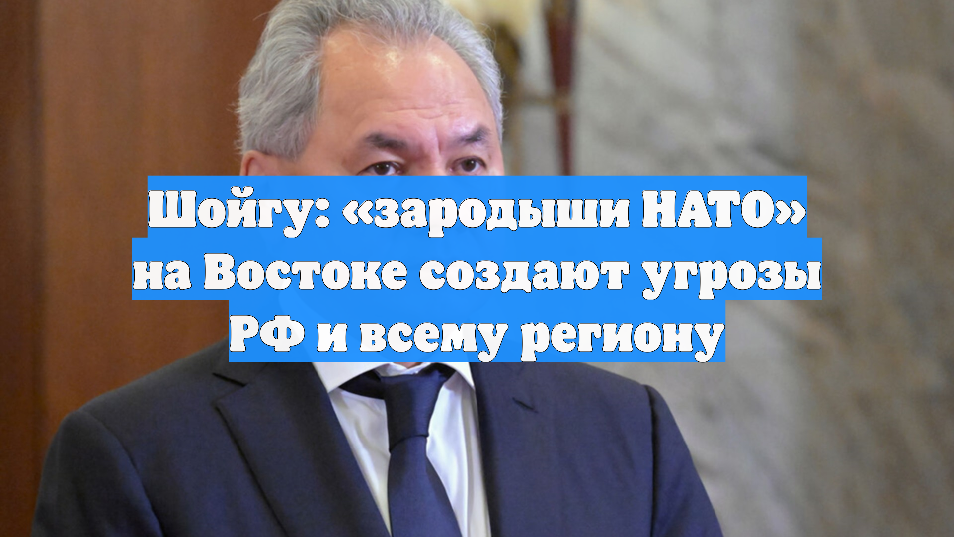 Шойгу рассказал о «зародышах НАТО» в Азии, которые угрожают безопасности РФ