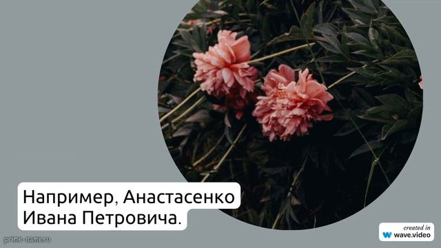 Фамилия Анастасенко: история, происхождение и особенности склонения на русском языке