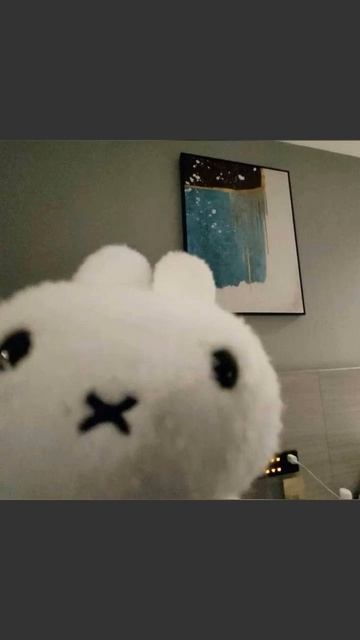 😶🌫️😶🌫️