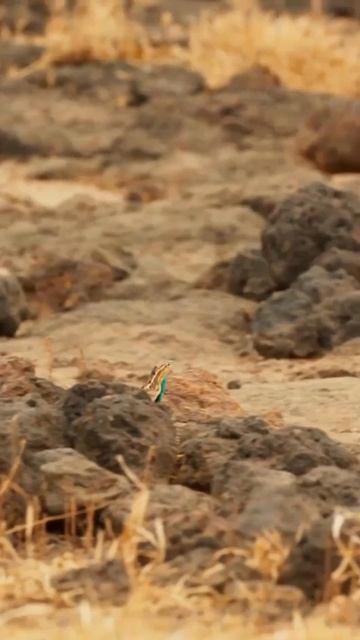 VID_20251210_141820_891.mp4