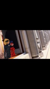 #ледибагисуперкот