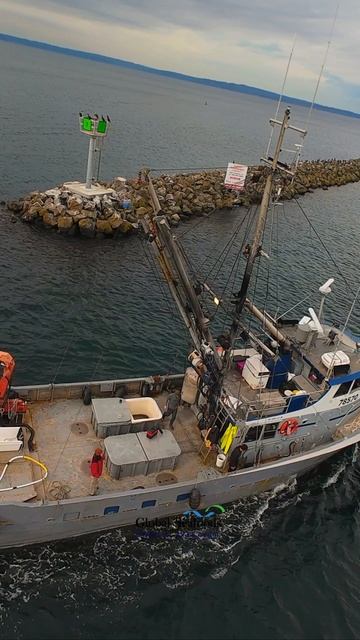 Салмон-тендер Monroe возвращается в Shilshole Marina