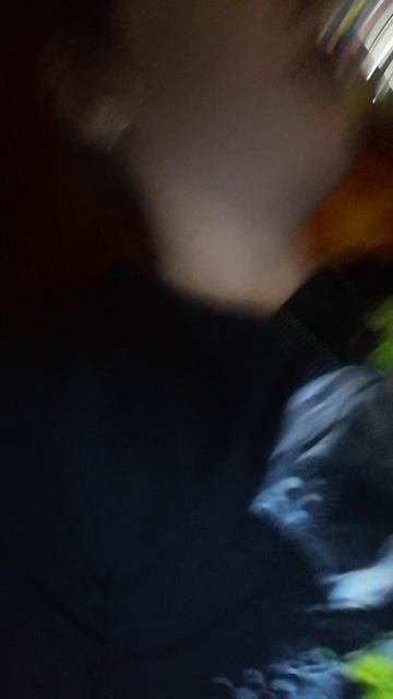 VID_20251209_190926.mp4