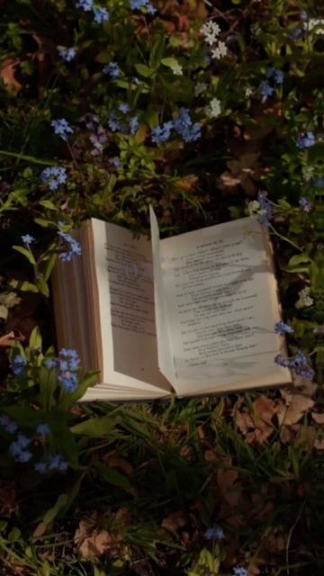 Родная земля ❤️
#capcut #шаблон #новаямузыка #родина #россия #музыкадлядуши