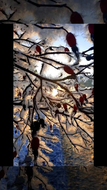 Зимушка-зима ( воспоминание)