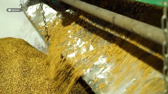 День с Толком 10.12.2025