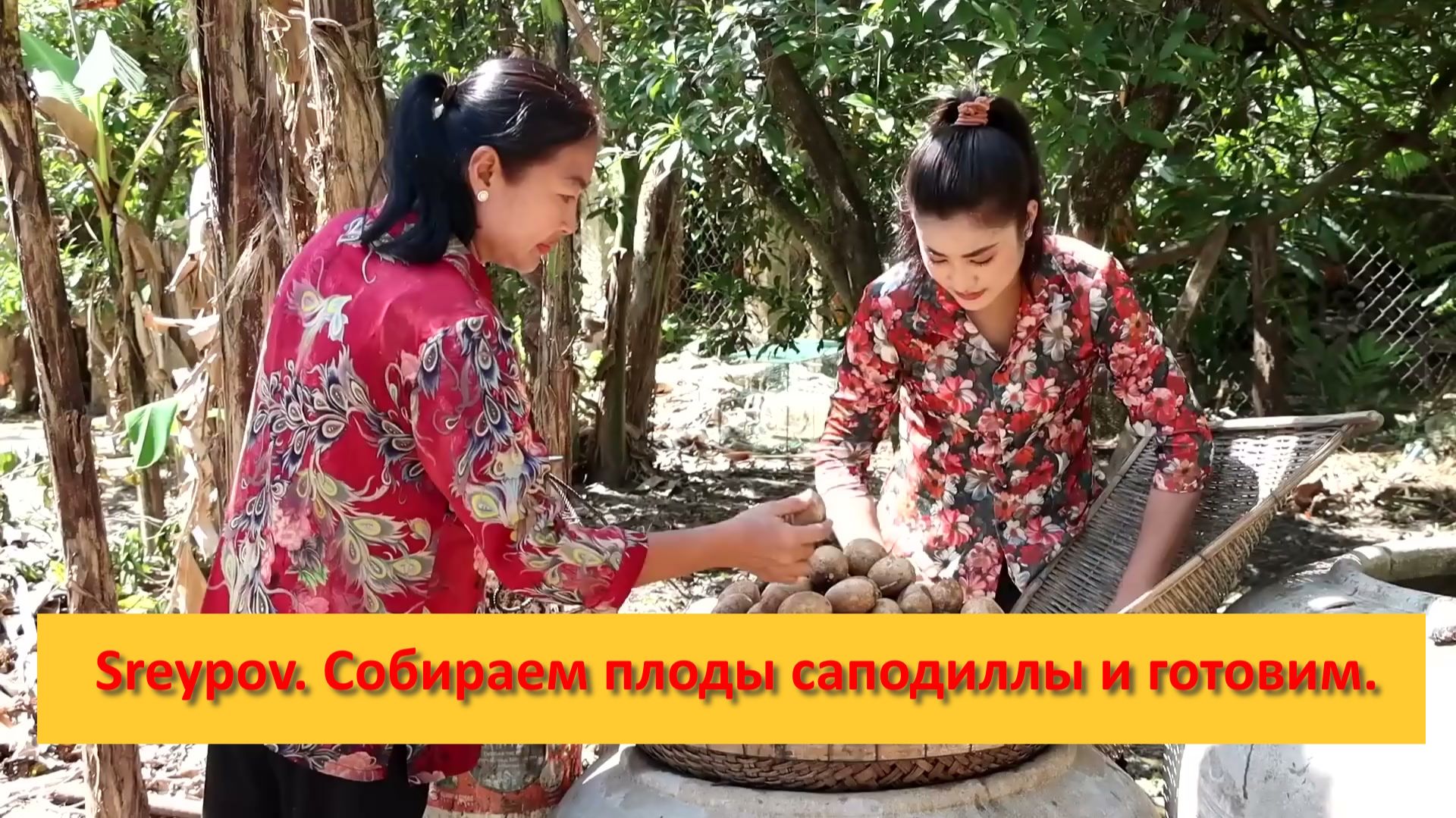 Sreypov из Камбоджи. Заготавливаем плоды саподиллы и готовим.