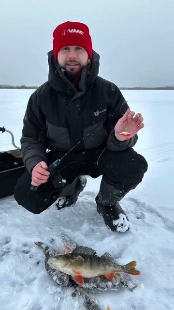 Клип @zatropheem