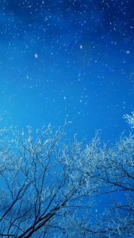 Новогодняя песня