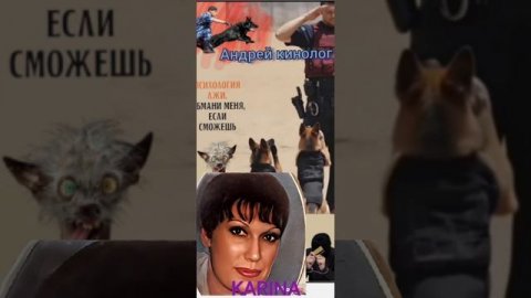 Бабка отдай пол лимона