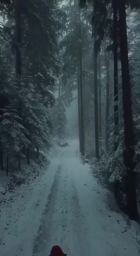 Подпишись 👉 👉 https://kamennyi-zver.ru