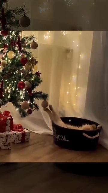 Подготовка к НГ в самом разгаре