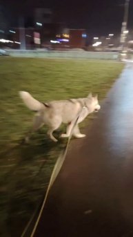 Джек провожает друга