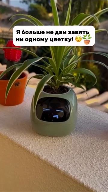 Артикул Яндекс.Маркет: YM10168523 (Не забудь при поиске YM)
Артикул AliExpress: ALI652795176 (Не заб