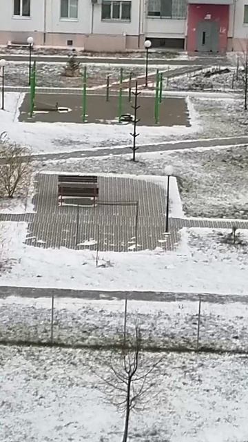 InShot_20251211_060352392.mp4