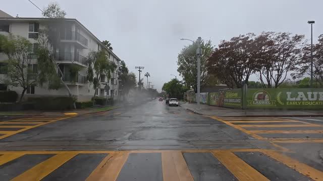 🇺🇸 Лос-Анджелес, Калифорния - дождь, Голливудские холмы, Бель-Эйр, Беверли-Хиллз, Брентвуд / 2025