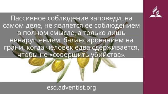12 декабря 2025. Шестая заповедь. Под сенью благодати - Адвентисты