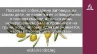 12 декабря 2025. Шестая заповедь. Под сенью благодати - Адвентисты
