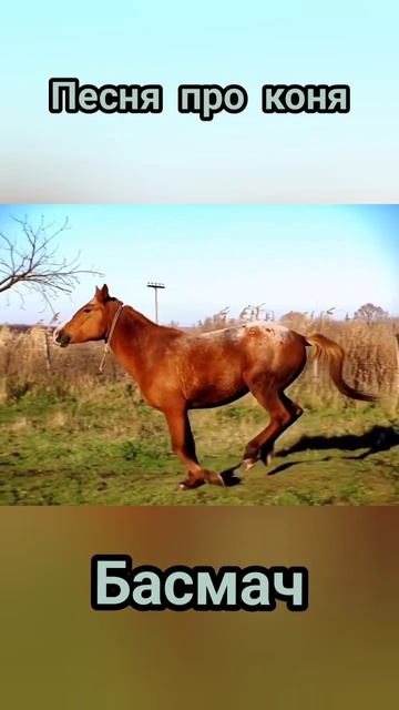 Басмач / Премьера клипа