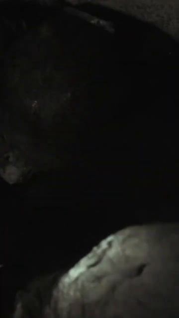 Минус ОДИН! #2025 #shorts #Спуск #фильмужасов #пещеры #монстры #выживание