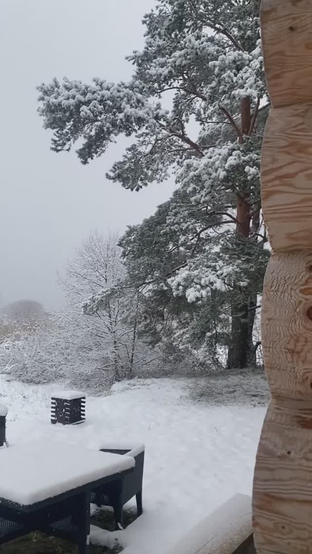 Скоро Новый год 🎅 🎄!!!