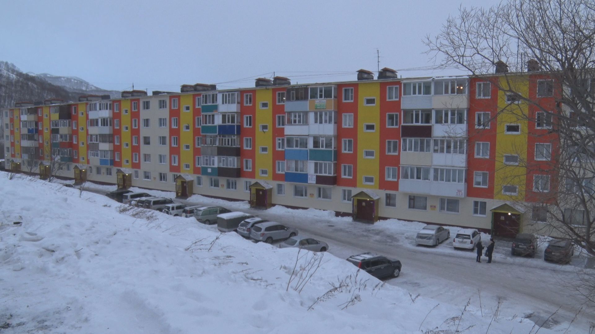 АКЦИИ ПОД ЁЛКУ