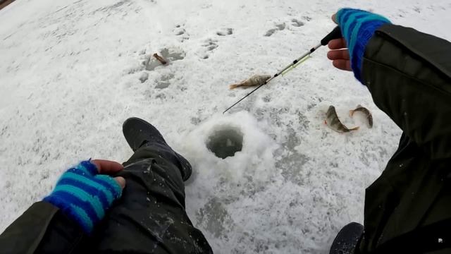 БЛЕСНА vs БАЛАНСИР! БЛЕСНЕНИЕ КРУПНОГО ОКУНЯ на МЕЛЯКАХ! Первый лёд 2025-26. Нашел активного окуня!