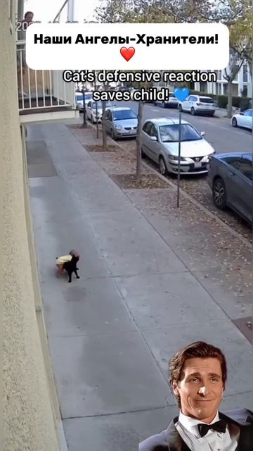 Ангелы - Хранители!