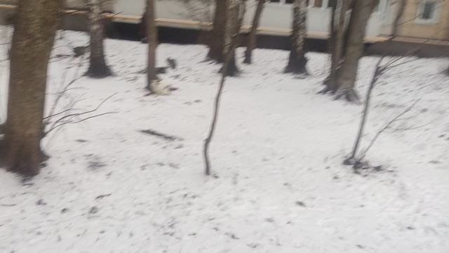 магический 🧝 не 🌞 прогноз погоды от волшебника 10 декабря