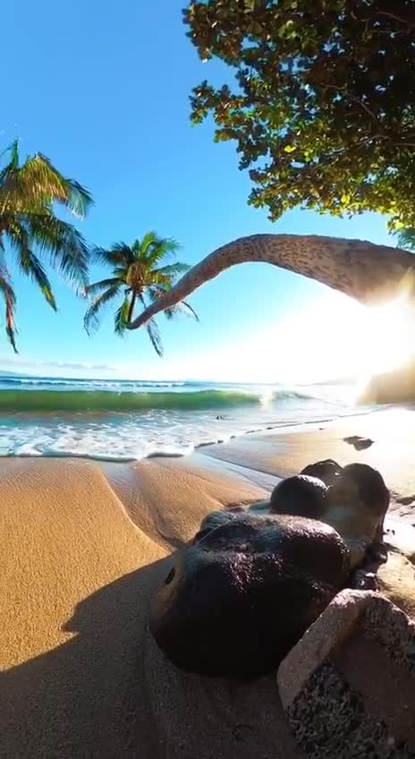 Подпишись 👉 👉 https://kamennyi-zver.ru