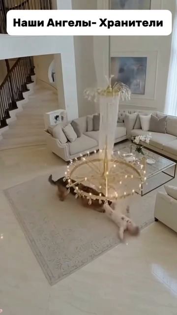 Наши Ангелы - Хранители!👼