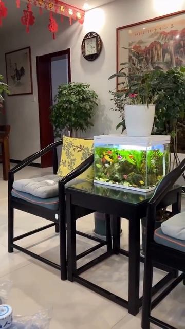 а говорят они ничего не понимают)