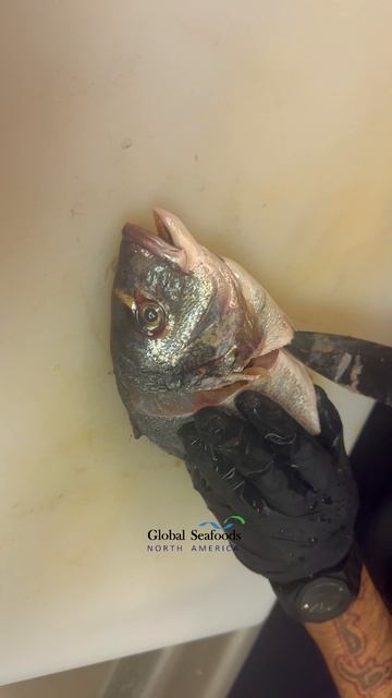 Нарезка дорадо для суши — Пошаговый гид по филе