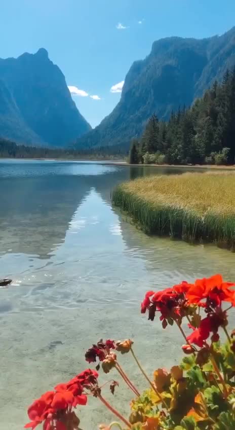 Подпишись 👉  👉 https://kamennyi-zver.ru