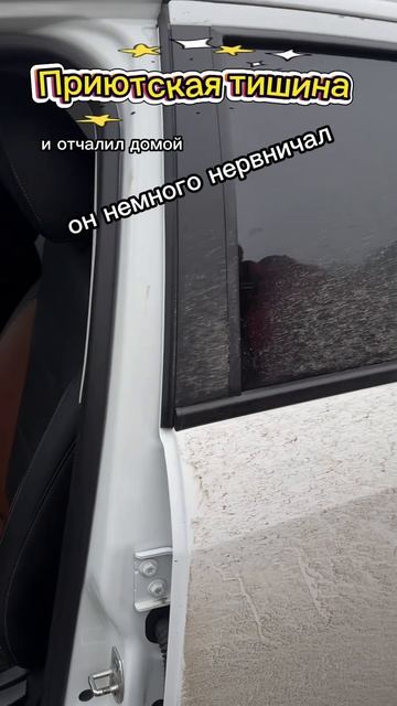 Новости среды от Микки